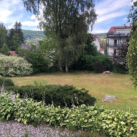 Appartement Rue Du Lac Gérardmer Exterior foto